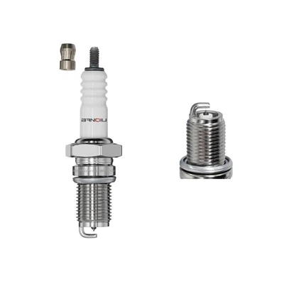Platinum zapłonowy D8EVX 2850